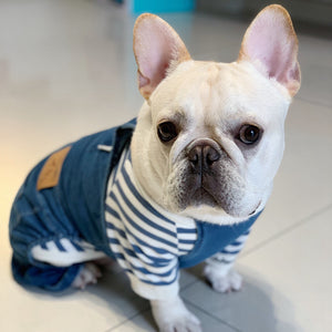 Doggy Denim Frenchie Overalls