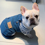 Doggy Denim Frenchie Overalls