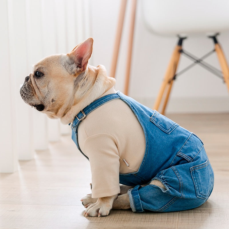 French bulldog hot sale skinny jeans