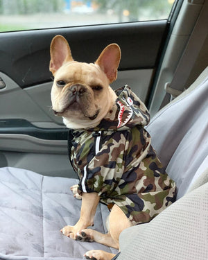 Camo Canine French Bulldog Jacket