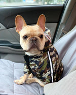 Camo Canine French Bulldog Jacket