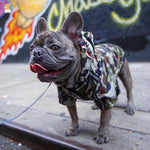 Camo Canine French Bulldog Jacket