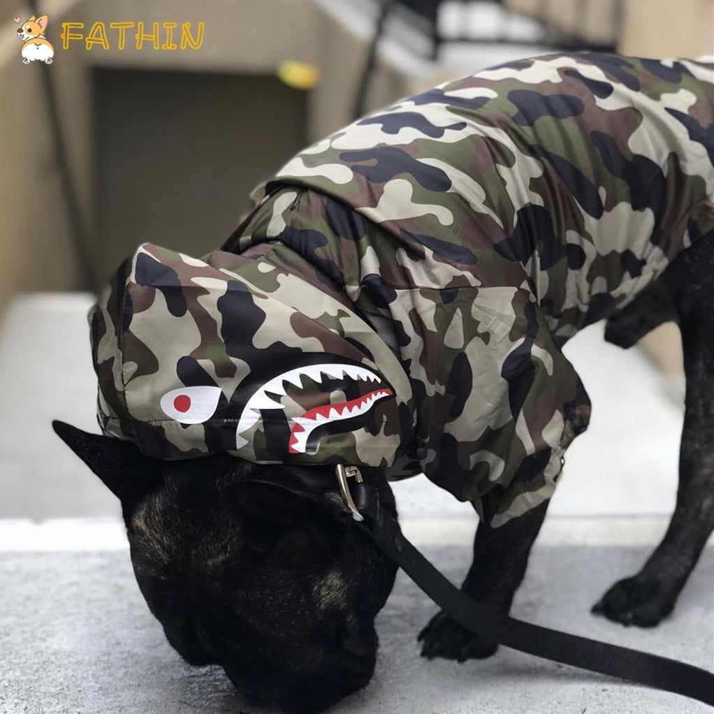 Bape best sale hoodie dog