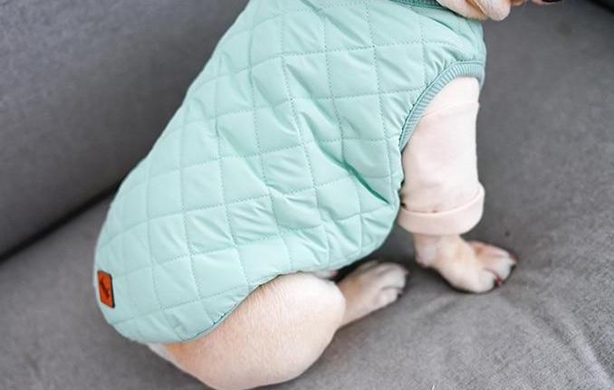 Frenchie Puffer Vest