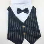 Suit Vest and Bow Tie Wedding Outfit