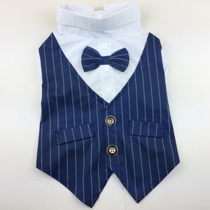 Suit Vest and Bow Tie Wedding Outfit