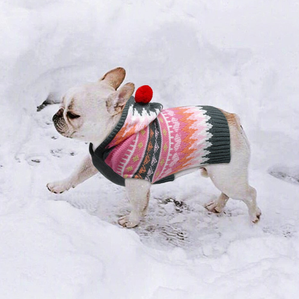 Frenchie clearance dog sweater