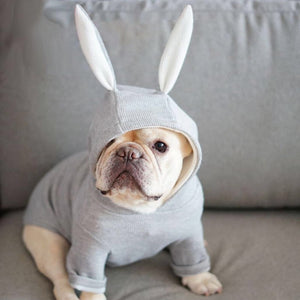 Knit Bunny Ears Hoodie