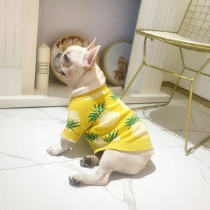 Pineapple Pup Frenchie Sweater