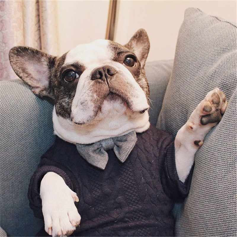 Bow Tie Dog Sweater