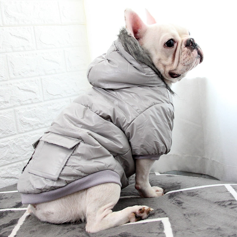 Jackets – The Frenchie Butt
