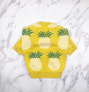 Pineapple sweater best sale