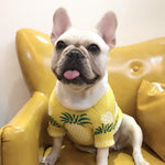 Pineapple Pup Frenchie Sweater