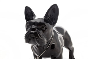 Ready To Run French Bulldog Ceramic Statue