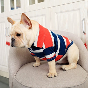 Small dog clothing - clothing & accessories - by owner - apparel