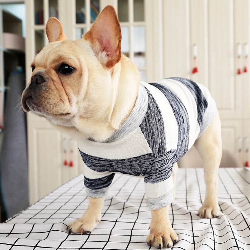 Mercedes Lopez Charro - Frenchie Fashion Dog