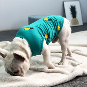 Pineapple Pup Frenchie T-Shirt