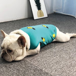 Pineapple Pup Frenchie T-Shirt